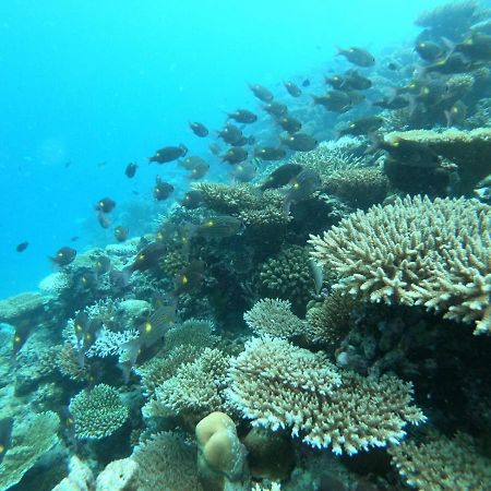 The Sky Maldives グリ エクステリア 写真